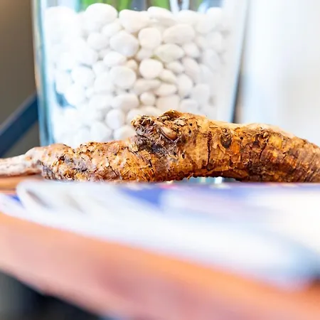 Отель Modi Дахау